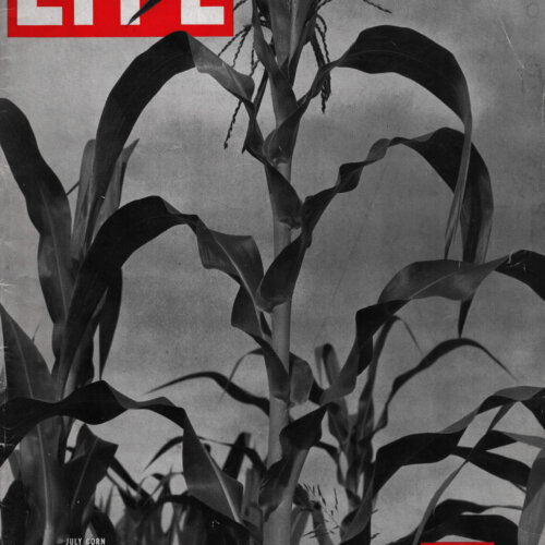 Magazín LIFE (1937)